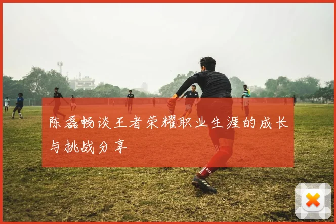 陈磊畅谈王者荣耀职业生涯的成长与挑战分享