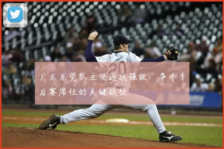 广东东莞队主场迎战强敌，争夺季后赛席位的关键战役