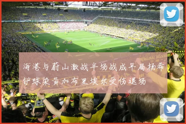 海港与蔚山激战半场战成平局杨希铲球染黄加布里埃尔受伤退场
