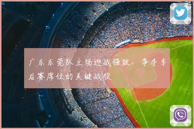 广东东莞队主场迎战强敌，争夺季后赛席位的关键战役