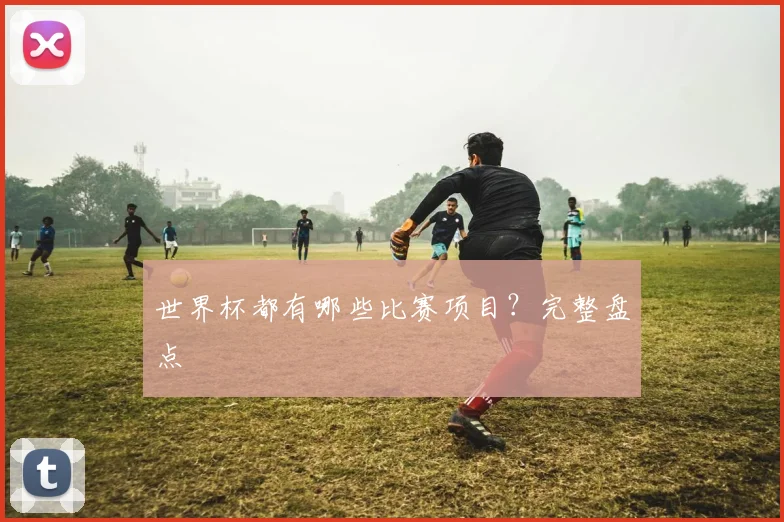 世界杯都有哪些比赛项目?完整盘点