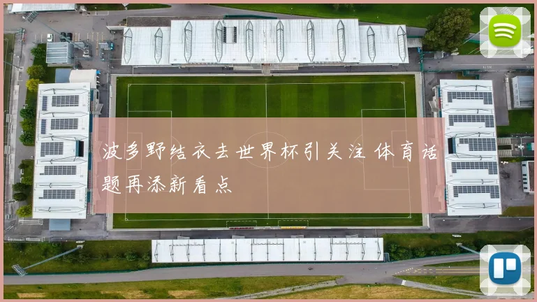 波多野结衣去世界杯引关注 体育话题再添新看点